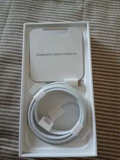 正規品Apple Lightningケーブル　タイプC　純正　新品