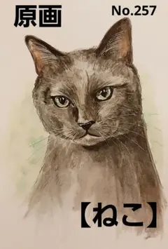 【ねこ】手描きイラスト 原画 《257》