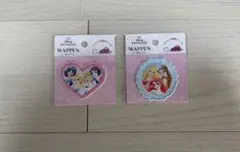 ディズニー　プリンセス　シンデレラ　ラプンツェル　アリエル　ベル　ワッペンセット