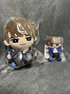 渡辺翔太 すのチル BIG ぬいぐるみ 2体セット - メルカリ