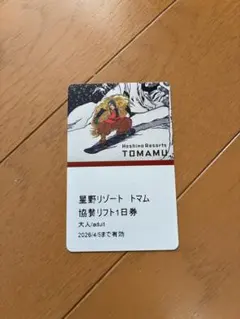 2026年最新】トマムリフト券の人気アイテム - メルカリ