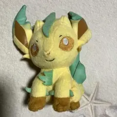ポケットモンスター でっかいコロっとまんまるぬいぐるみ リーフィア