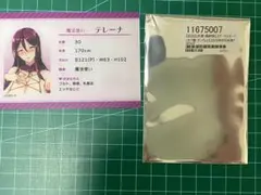 武田弘光「テレーナ」NTRパーティー　ステータスカード