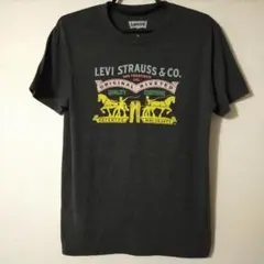 美品　リーバイス　LEVI STRAUSS & CO.　Tシャツ 灰　M