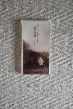 ゴダイゴ（タケカワユキヒデ）、町田義人、朱里エイコ『キタキツネ物語