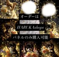 Item thumbnail for item 7f02435b-95a8-4e77-a8af-9a3325971f07