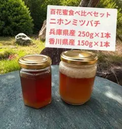 ぜんぶ群違い】ニホンミツバチの国産百花蜜 180g×3本 非加熱無添加天然