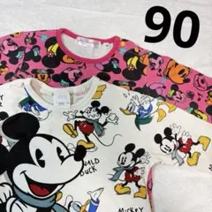 ZARA ディズニーリゾート　長袖Tシャツ　2枚