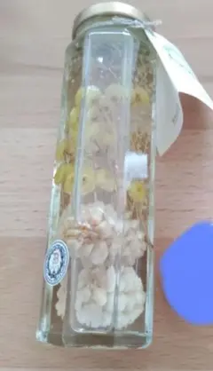 프랑프랑 프랑프랑 하바리움