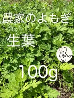 農家のよもぎ 生葉 100g 完全無農薬のサムネイル