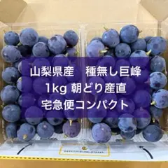 T11 山梨県産種無し巨峰 1kg粒 農家直送 ご家庭用訳ありのサムネイル