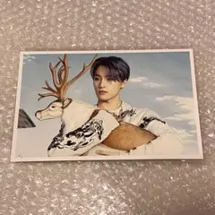 SEVENTEEN セブチ ポストカード ディノ