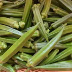 新鮮オクラ 産地直送 野菜のサムネイル