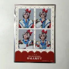 【フラミュ】ハルリット ランダム4カットステッカー