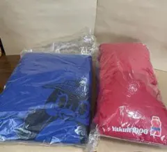 Item thumbnail for item 38df999d-7a04-42c9-9409-2c72a1ec7334