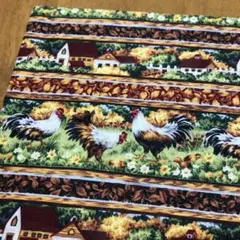 USAコットン カントリー　チキン　ファーム