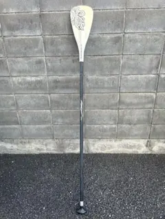 Item thumbnail for item 664df243-48db-460f-9c4b-1f44efbbce88