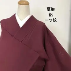 平和屋着物＊夏物　色無地　絽　流水楓紋紗　褐返色　正絹　逸品　AABA6589jd 平和屋着物○訪問着 駒刺繍 流水牡丹文 金彩 正絹 逸品 DABE4029az
