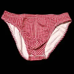 THE PREMIUM TENDER チェック柄　ビキニ