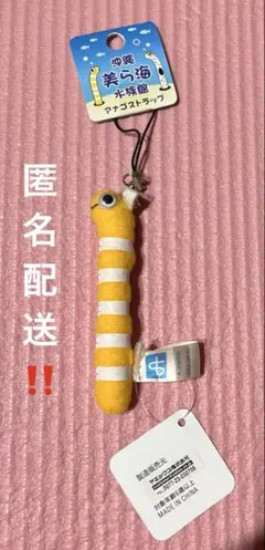 沖縄美ら海水族館 アナゴストラップ チンアナゴ