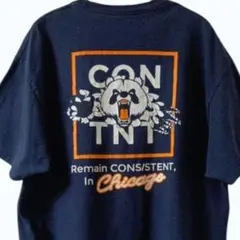 Champion バックプリントTシャツ XL ネイビー クマプリント