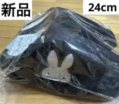 Item thumbnail for item 2a27cb33-fae2-46ba-b14d-40256af3f870