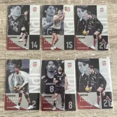 【新品未開封】 男子バレー 日本代表 ツインウエハース カード 6枚セット