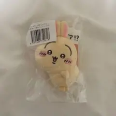 ちいかわ うさぎだらけくじ Ｅ賞 ハァ！？