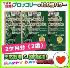 ブロッコリースプラウト スルフォラファン サプリメント 2ヶ月分