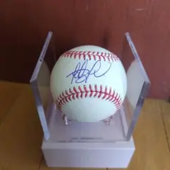 レア PADRES パドレス タティス Jr サイン フルネーム ボール PADRES パドレス タティス Jr ルーキー サイン ボール Opening
