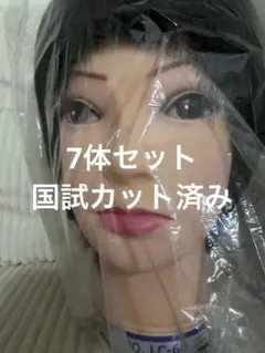 2026年最新】国家試験 カットウィッグの人気アイテム - メルカリ