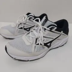 Item thumbnail for item a59f4c6b-8ae0-40e1-8a30-0a9cc4e2d5d6