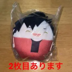 ハイキュー!! 黒尾鉄朗 ふわコロりん 缶バッジ