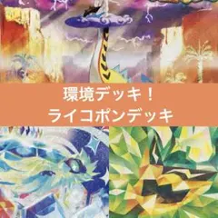 【匿名配送】環境デッキ！タケルライコ構築済みデッキ