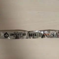 LUNATIC FEST 2025 DAY1 銀テープ