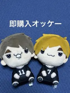 ハイキュー!! もちぴこぬいぐるみ