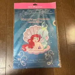 東京ディズニーリゾート アリエル クリアファイル2枚セット