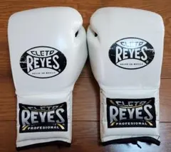 CLETO REYES　ボクシンググローブ 12oz　レイジェス