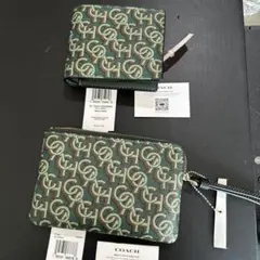 Item thumbnail for item 3d746758-442b-433a-94c8-1f958d8eaca2