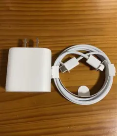 Apple 純正充電器セット 電源アダプター 充電ケーブル iPad付属品