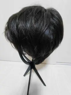 カオリナラターナー　ショーとウイッグ　付属品付き