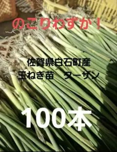 2026年最新】ターザン 苗の人気アイテム - メルカリ