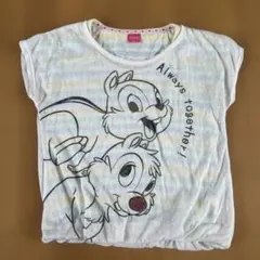 チップとデール Tシャツ 160cm