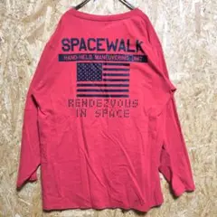 【F】アヴィレックス AVIREX ワンポイントＴシャツ　長袖 赤系