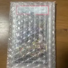 タケルライコex SAR PSA10