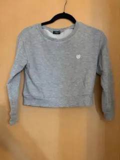 グレートレーナー