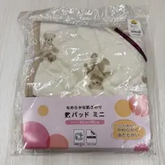 Item thumbnail for item 6786be45-6ec8-4072-9d8b-2dbb9ca5f3d0