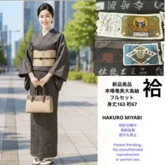 新品　美品　本場奄美大島紬　フルセット　4点　身丈163 裄67