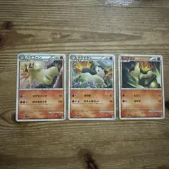 ポケモンカード ヒノアラシ マグマラシ バクフーン 進化ライン