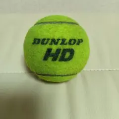 252個DUNLOPダンロップ PRACTICE 中古テニスボール まとめ売り① 2026年最新】テニスボール ダンロップの人気アイテム - メルカリ